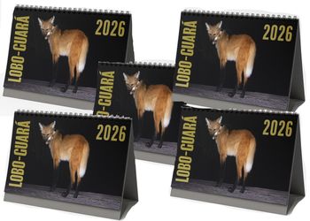Pack 5 calendários Lobo-Guará 2026