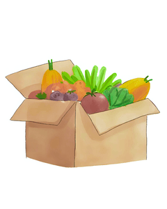 Cesta básica para 1 jovem