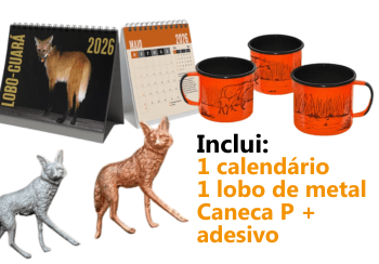 Kit Amigo do Lobo