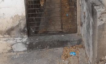 Contribua com R$ 150,00