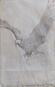 Poster "Aprendi a voar" - assinado por Francisco Aleixo