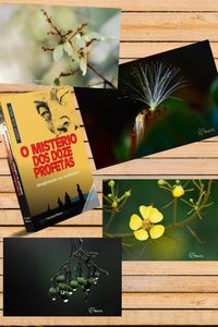 Combo Flores nº 1