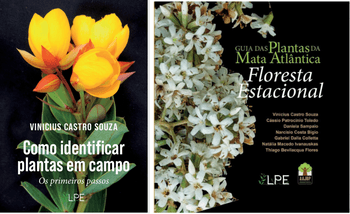 Quero mais um livro (Guia da Floresta Estacional)