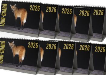 Pack 10 calendários Lobo-Guará 2026