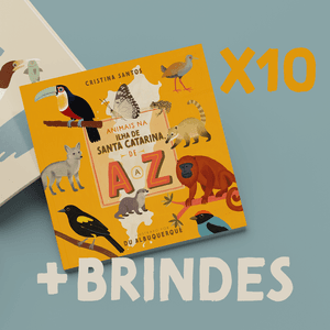 📘🎁 10 Livros + brindes