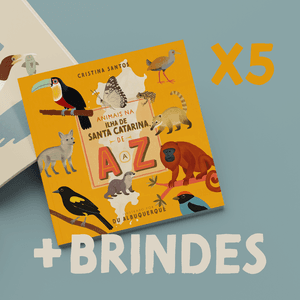 📘🎁 5 Livros + brindes