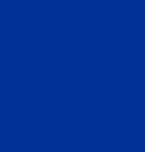UM VOTO NA COR AZUL