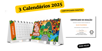 3 CALENDÁRIOS + CERTIFICADO DE APOIO COM O SEU NOME