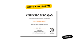 Certificado de Apoio Digital com o seu nome