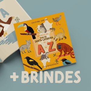 📘🎁 Livro + brindes