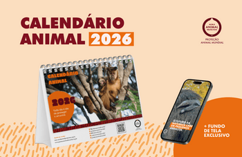 ÚLTIMA OPORTUNIDADE