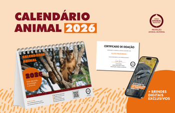 Kit Calendário 2026 e Brindes Digitais Exclusivos