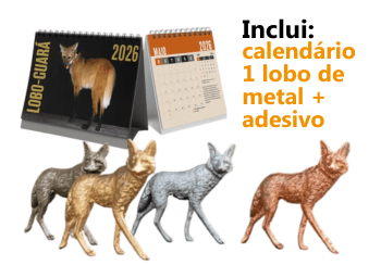 Kit Lobo-Guará