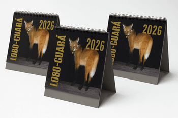 Pack 3 Calendários Lobo-Guará 2026