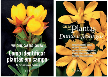 Quero mais um livro (Dunas e Restingas)