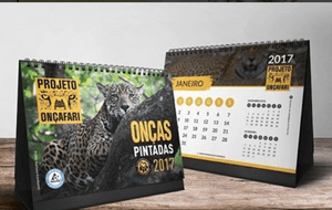 Arrecade fundos para uma ONG que você goste!