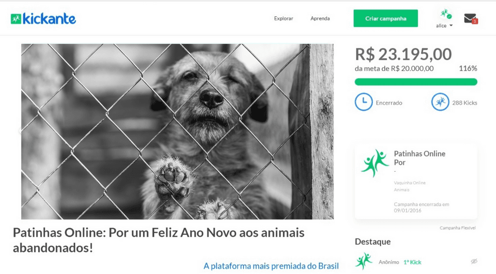 crowdfunding-para-animais-patas.png