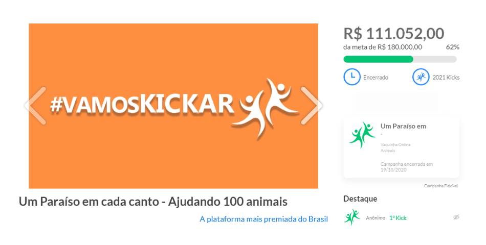 estou-desempregada-o-que-fazer-para-ganhar-dinheiro-abrigo-animais.png