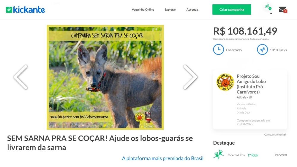 vaquinha-virtual-para-meio-ambiente-lobo.jpg